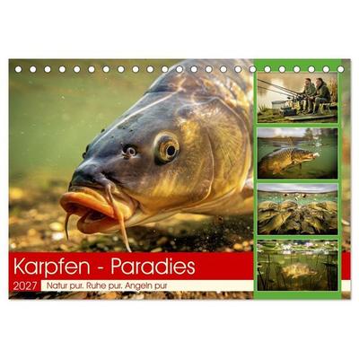 Karpfen - Paradies (Tischkalender 2027 DIN A5 quer), CALVENDO Monatskalender
