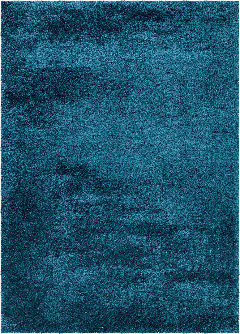 Brayden Studio Charlesia Shaggy Indoor / Outdoor Area Rug Emerald Rectangle 80 x 150 cm