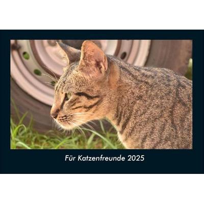 Für Katzenfreunde 2025 Fotokalender DIN A4