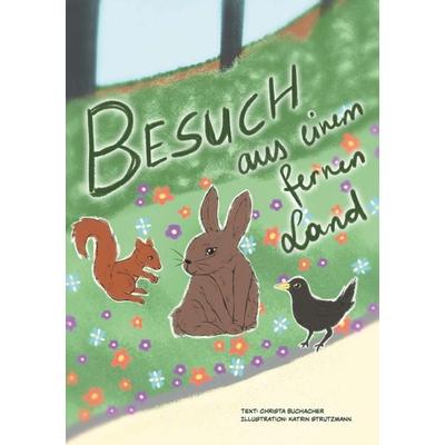 Besuch aus einem fernen Land, Taschenbuch von Christa Buchacher, Buchschmiede, 978-3-99152-382-6