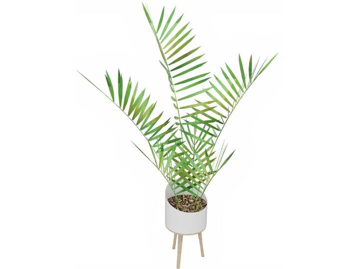 Plante artificielle d'intérieur Palmier H. 210 cm - Pot blanc sur pieds bois