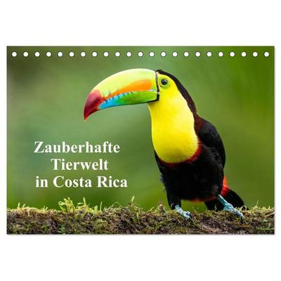 Zauberhaft Tierwelt in Costa Rica (Tischkalender 2027 DIN A5 quer), CALVENDO Monatskalender
