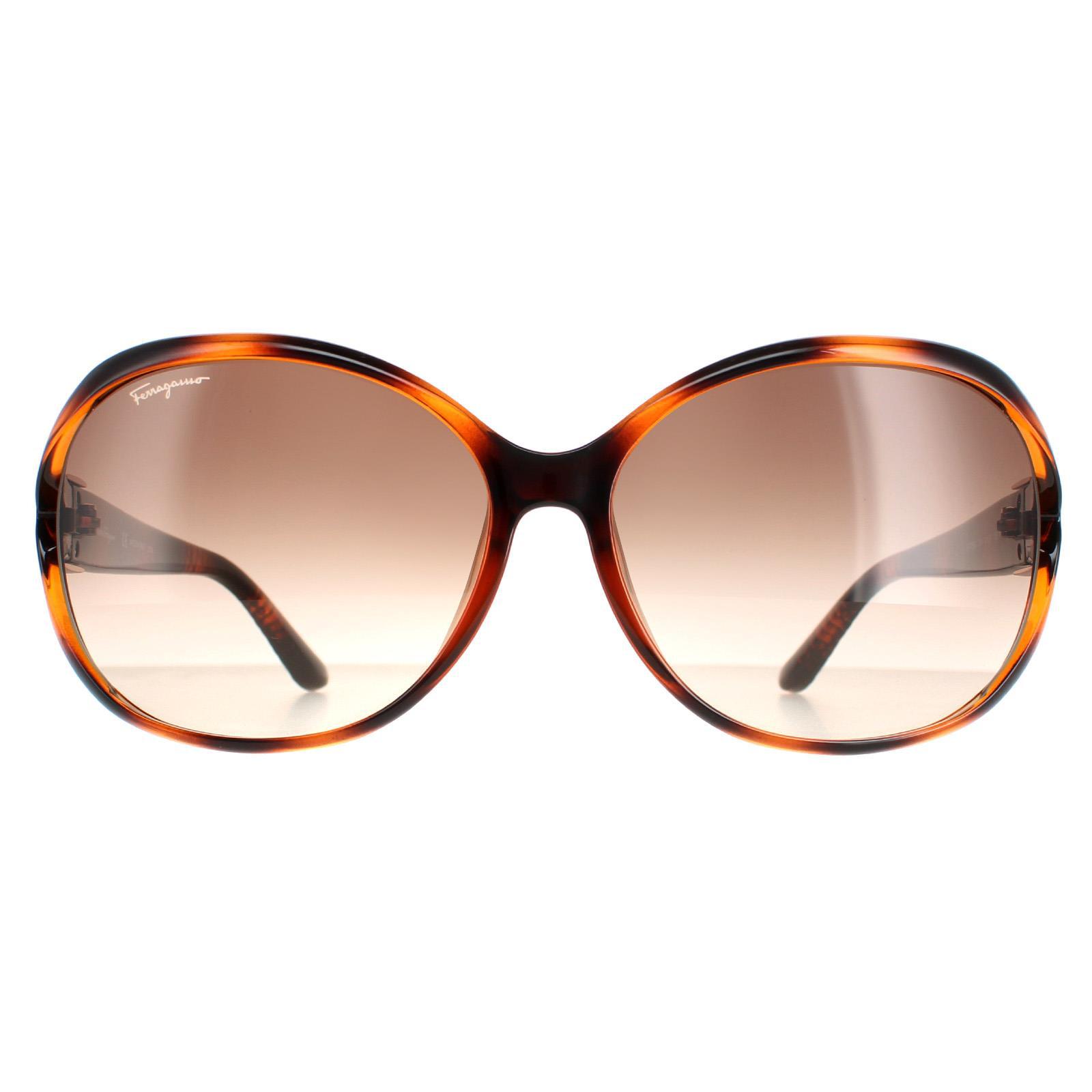 Salvatore Ferragamo Oval Dames Tortoise Bruin Gradiënt SF770SA