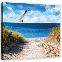 LEINWANDBILD Weg zum Strand und Möwe 30x30cm