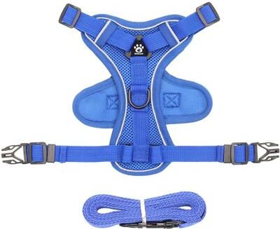 Inspire Essentials AdventureFit Cat Harness And Leash Set blue xl