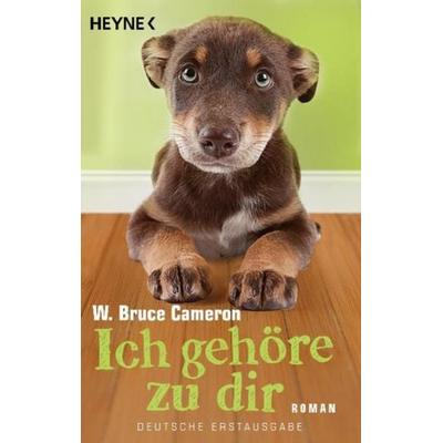 Ich gehöre zu dir, Taschenbuch von W. Bruce Cameron, Heyne
