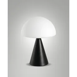 Fabas Luce LED-Tischleuchte 3790-30-101