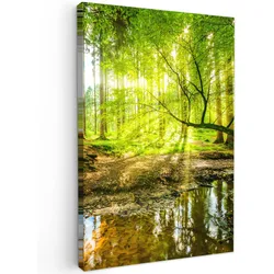 LEINWANDBILD Wald - Landschaft - Wasser - Bäume - Sonne - Grün - Natur Deko XXL 80x120 cm