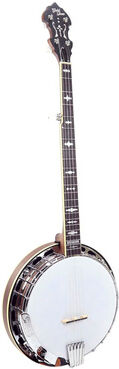 Gold Tone OB-150WF 5 String Banjo Vintage Braun Matte