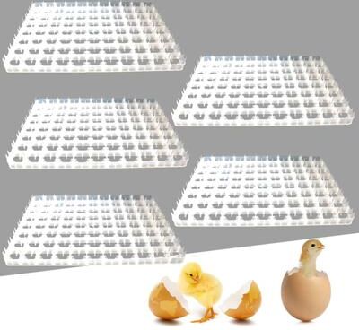 Drop Dash Deals Egg Turning Tray For Egg Incubator Automatic Breeding Machine Egg Turning Tray For Egg Incubator Automatic Breeding Machine