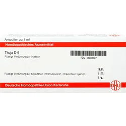 Thuja D6 Ampullen 8 ML