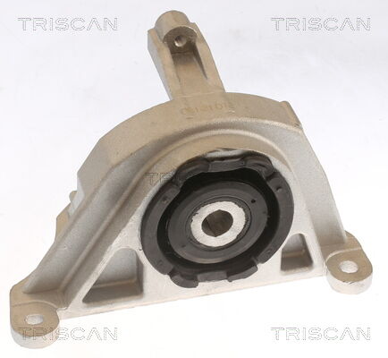 Triscan Lagerung, Motor 8505 15108 Für Fiat