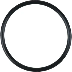 KS Tools O-Ring - 515.1980-R019P