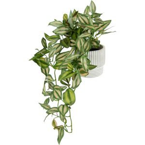 I.GE.A. Kunstpflanze Tradescantia zebrina, im Topf, Höhe 42 cm