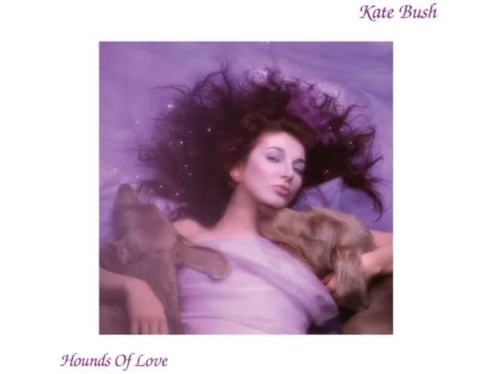 Hounds Of Love