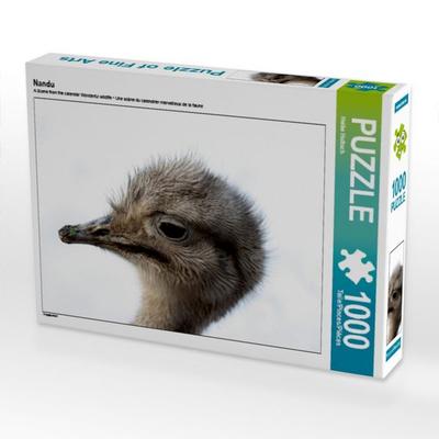 CALVENDO Puzzle Nandu | 1000 Teile Lege-Größe 64 × 48 cm Foto-Puzzle für glückliche Stunden
