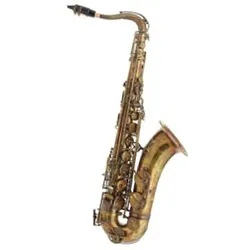 Expression XP-2 Master Tenor - Tenorsaxophon