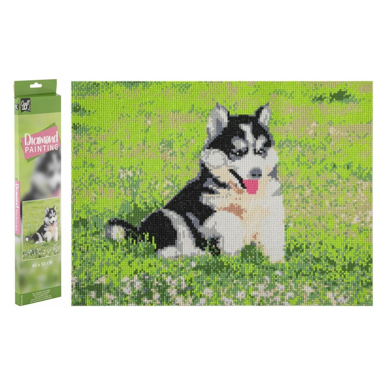 Grafix Diamant-Gemälde Husky 40x50cm (CR2099/GE4)