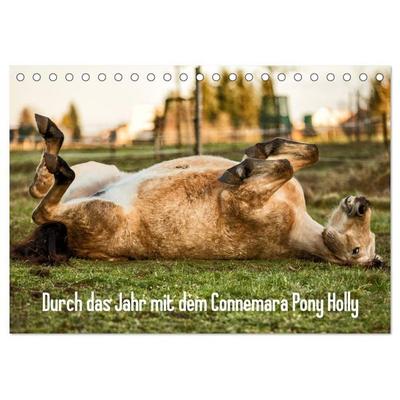 Durch das Jahr mit dem Connemara Pony Holly (Tischkalender 2027 DIN A5 quer), CALVENDO Monatskalender