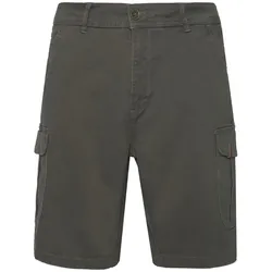 Protest Herren Cargo-Shorts PRTNYTRO Spruce - XL - XL