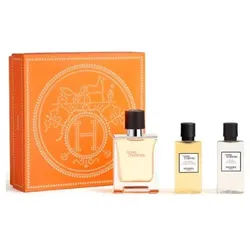 Hermès Terre D'hermes e T 50 Spray Gel40 Ash40
