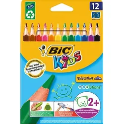 BIC® Buntstifte Mehrfarbig