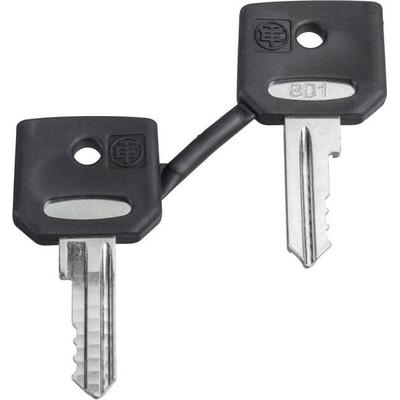 Schneider Electric ZBD8D1 ZBD8D1 Ersatzschlüssel 1St.