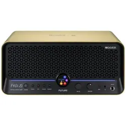 Mooer F40I LI GOLD (Gitarre, 40 W), Instrumentenverstärker, Gold