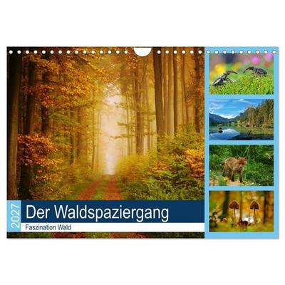 Der Waldspaziergang (Wandkalender 2027 DIN A4 quer), CALVENDO Monatskalender