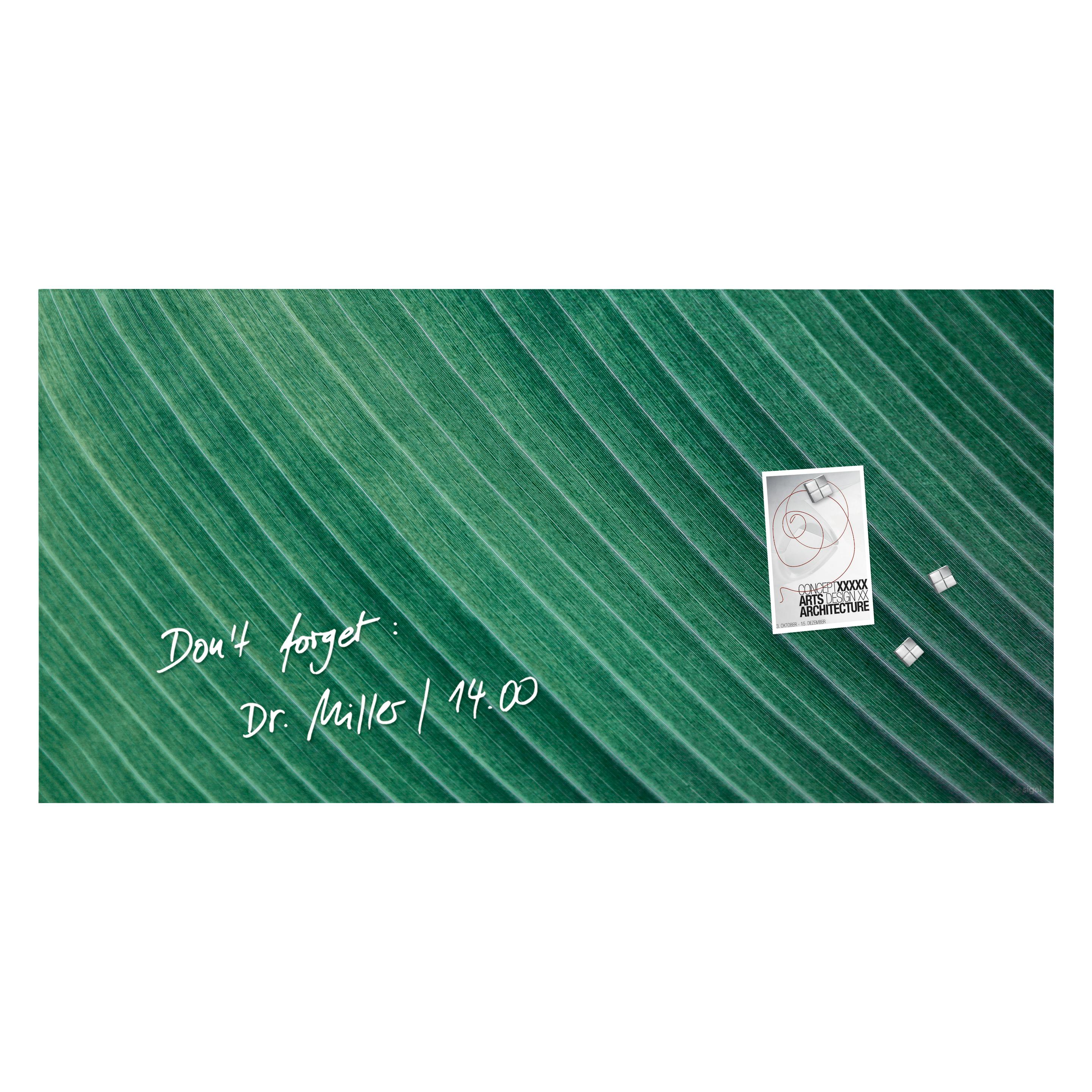 Sigel Glas-Magnetboard Artverum mit Design (Magnettafel, 91 x 46 cm) (GL371)