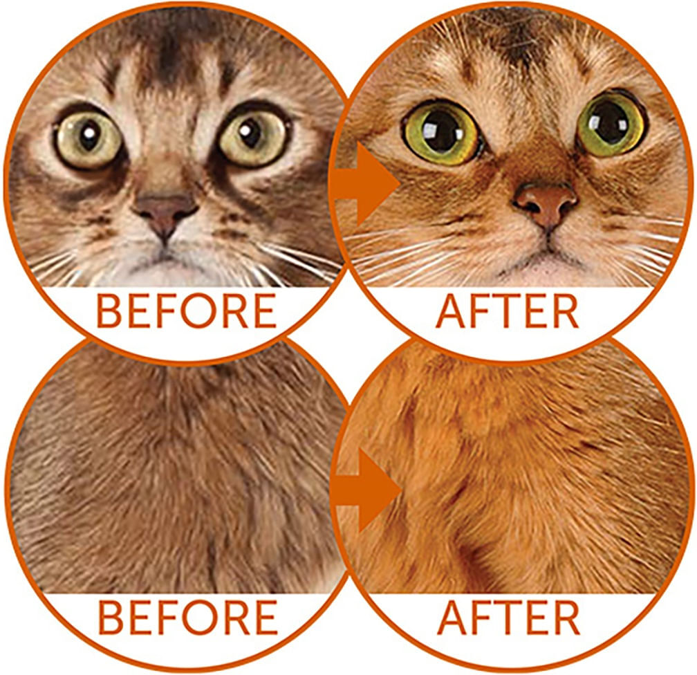 NATURES PROTECTION Nature's Protection Red Cats con Aringa 1.5KG