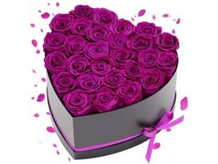 VEVOR 27x Ewige Rosen in Herzform Box, konservierter Blumenstrauß, Blumen Geschenkbox für ihre Frau, Mütter, Liebespartner, zur Hochzeit, zum Muttertag, Valentinstag, Weihnachten, dunkelviolett