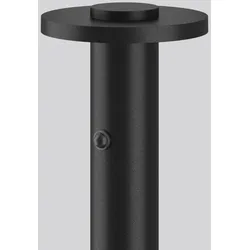 RZB LED-Pollerleuchte 612394.0031.19