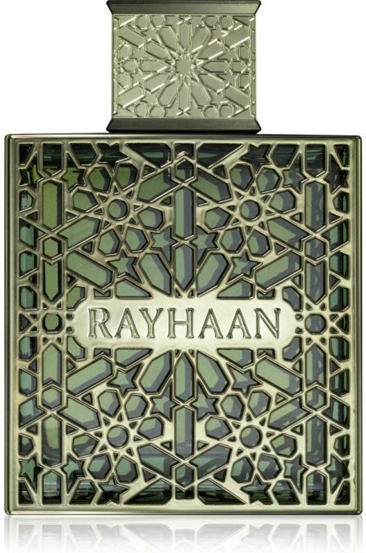 Rayhaan Terra Eau de Parfum pour homme 100 ml