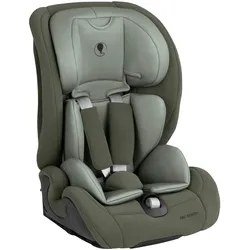 ABC Design Kindersitz Aspen 2, gruen