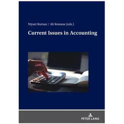 Current Issues in Accounting, Fachbücher