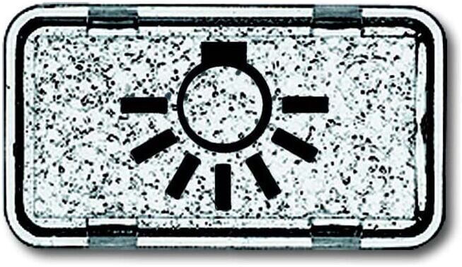 Busch-Jaeger Tastersymbol Licht 2622 LI-101 (2CKA001714A0260)