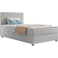 BOXBETT Viki - H3