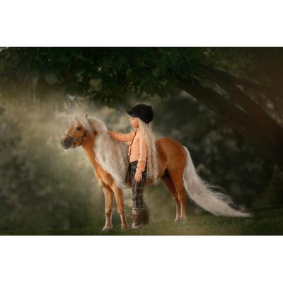 Fototapete PAPERMOON "PALOMINO MINIATURE PFERD-MÄDCHEN WINTER TIER PONY MINI", bunt, B:4m L:2,6m, Vlies, Tapeten