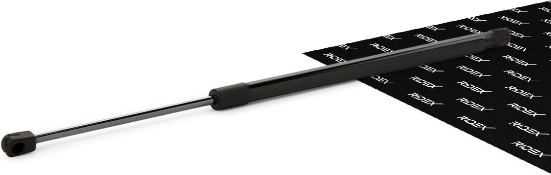 RIDEX 219G0005 Tailgate strut
