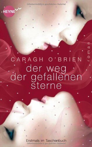 Caragh O'Brien - Der Weg der gefallenen Sterne: Roman (Heyne fliegt) - Preis vom 14.10.2026 23:07:16 h