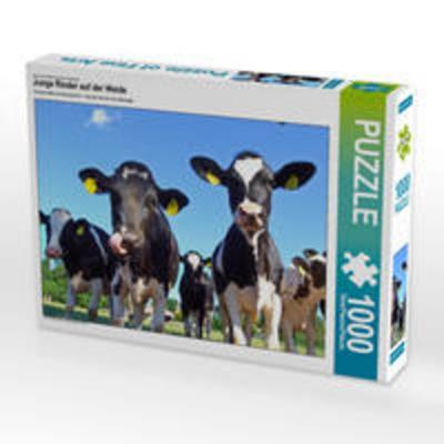 CALVENDO Puzzle Junge Rinder auf der Weide | 1000 Teile Lege-Größe 64x48cm Foto-Puzzle für glückliche Stunden