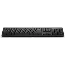 HP 125 USB Wired Keyboard Used (DE, Kabelgebunden), Tastatur, Schwarz