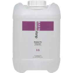 5L dusy professional Struktur-Fix