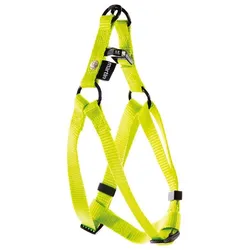 Martin Sellier Baud S (50, Hund, Allgemein, Spazieren), Halsband + Leine