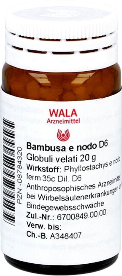 Bambusa E Nodo D6 Globuli