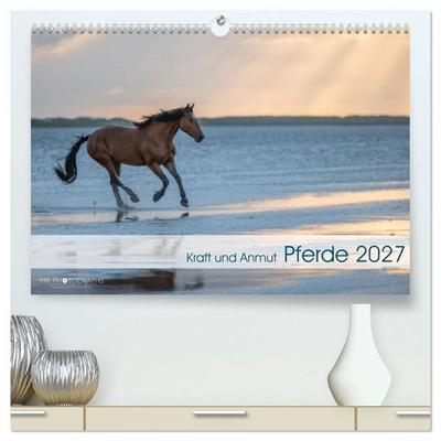 Pferde 2027 Kraft und Anmut (hochwertiger Premium Wandkalender 2027 DIN A2 quer), Kunstdruck in Hochglanz