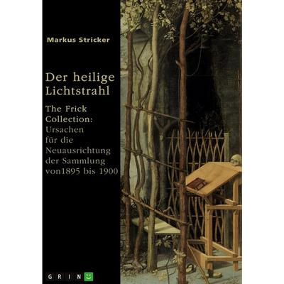 Der heilige Lichtstrahl, Taschenbuch von Markus Stricker, GRIN, 978-3-389-12544-1