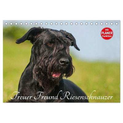 Treuer Freund Riesenschnauzer (Tischkalender 2027 DIN A5 quer), CALVENDO Monatskalender
