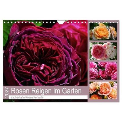 Rosen Reigen im Garten (Wandkalender 2027 DIN A4 quer), CALVENDO Monatskalender